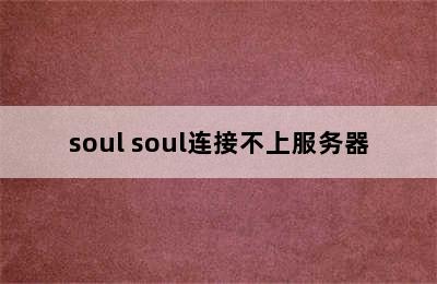 soul soul连接不上服务器